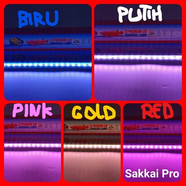 Sakkai Pro T5-58 LED 10W 5 Warna LED Tanning Lamp Lampu Celup Aquarium