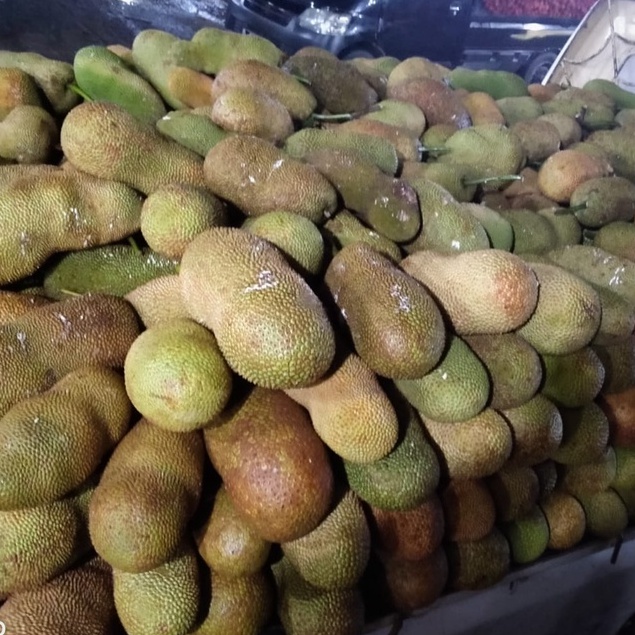 Buah Nangka Cempedak Fresh Manis Segar