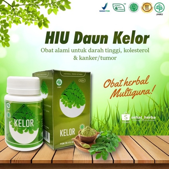 Jual Kapsul Ekstrak Daun Kelor Asli Original Hiu Kelor Untuk