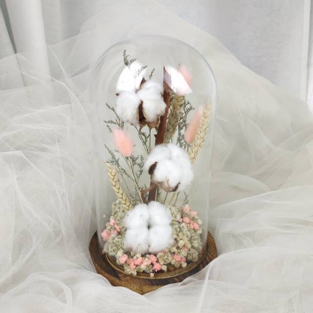 Kado Ulang Tahun Bunga Kapas | Cotton Flower Dome Gelas Kaca Beauty and the Beast