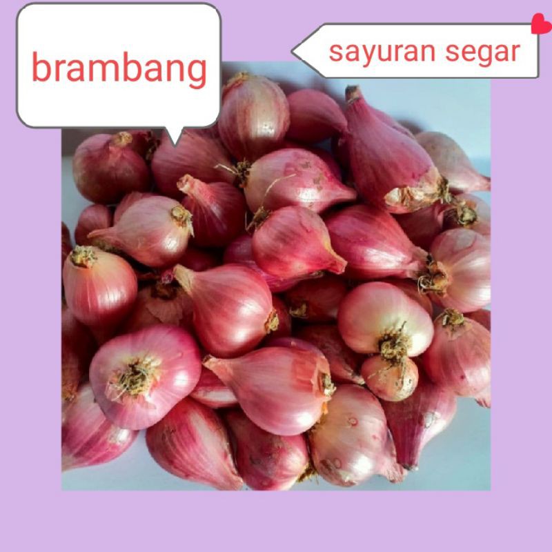 

BAWANG MERAH