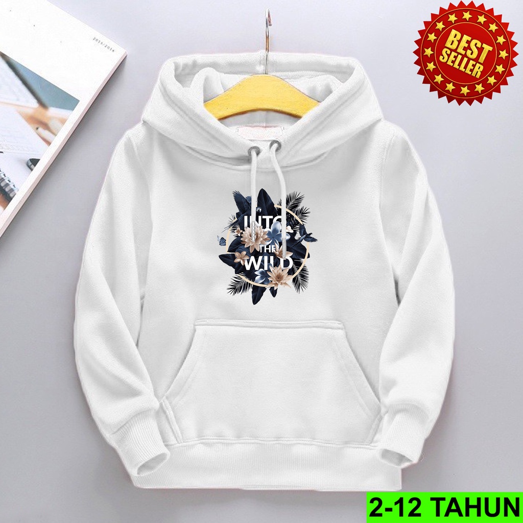 Hoodie Anak Laki Laki Perempuan / Hodie Anak Usia 2 3 4 5 6 7 8 9 10 11 12 Tahun / Jaket Anak Cewek Cowok Sweater Anak