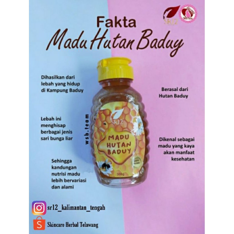 

Madu hutan Baduy Sr12