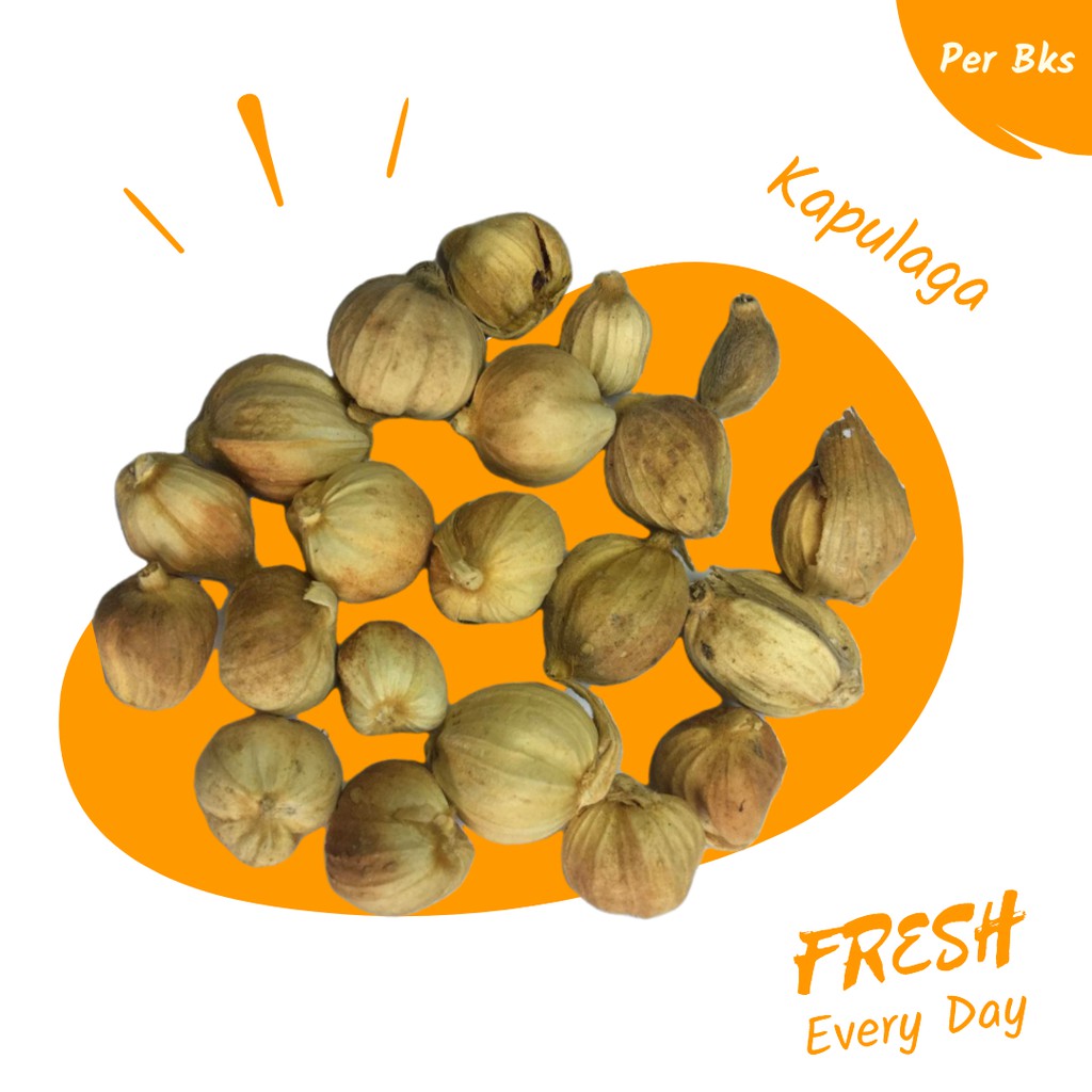 

Rempah Rempah KAPULAGA FRESH PER Bks Murah Sayuran Online Makassar