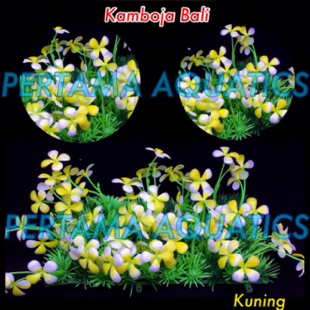 Shopee Indonesia Jual Beli Di Ponsel Dan Online