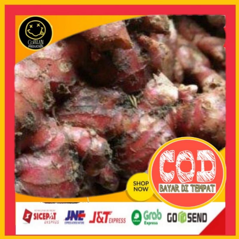 

Jahe Merah 250g Rempah Rempah Herbal Sayuran Segar Sayuran Fresh Sayuran Organik Sayuran Online