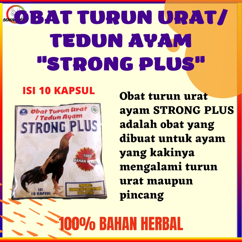 OBAT TURUN URAT TEDUN AYAM STRONG PLUS SEMBUHKAN KAKI PINCANG PADA AYAM