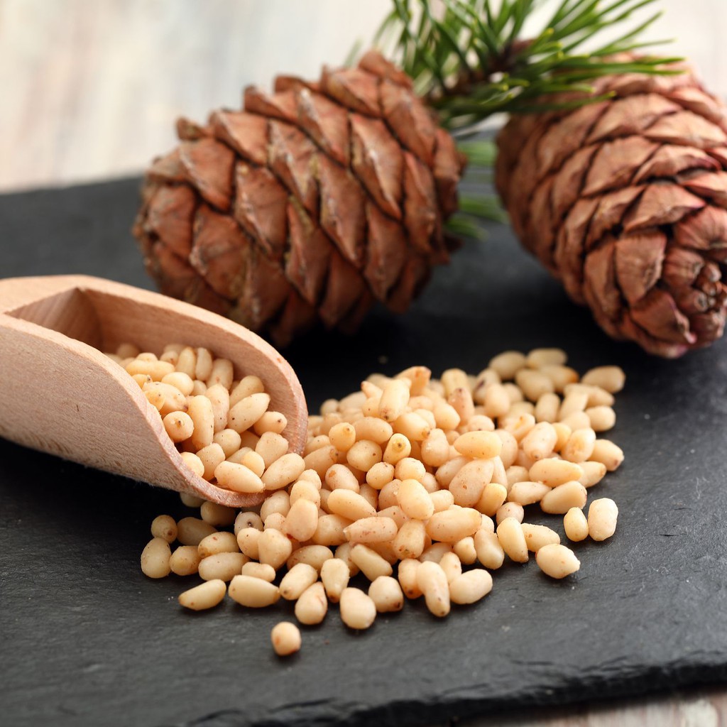 

Raw Pine Nut / Kacang Pinus Mentah 1kg