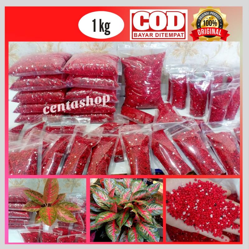PUPUK SR 1000 Gram/PUPUK MERAH/SK COTE/PUPUK Slow Release N 19 : P 10 : K 13/Pupuk Aglonema