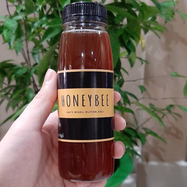 

(350gr/250ml) Madu hutan murni asli