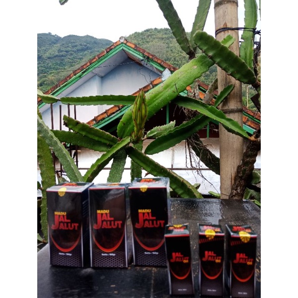 Madu jaljalut dan jaljalut oil