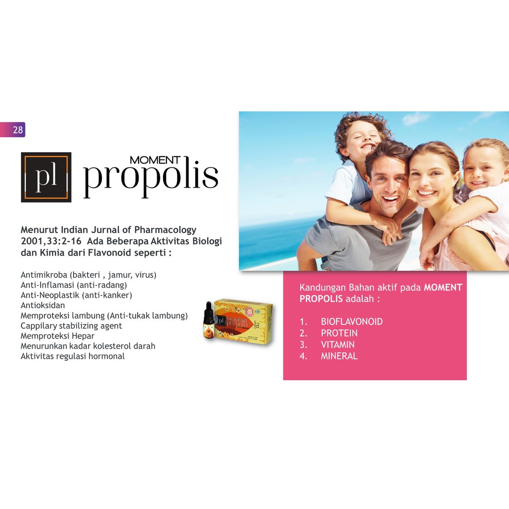 MOMENT PROPOLIS