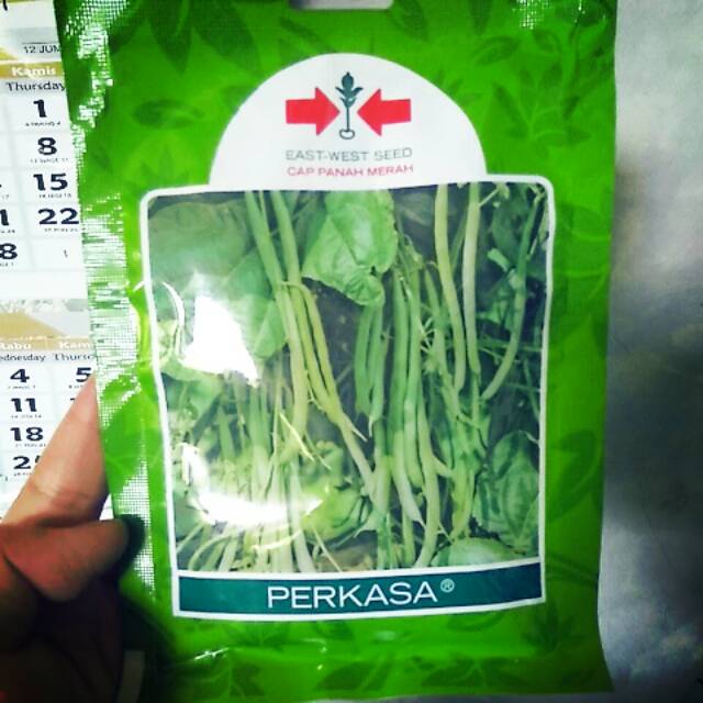 Benih sayur buncis perkasa panah merah