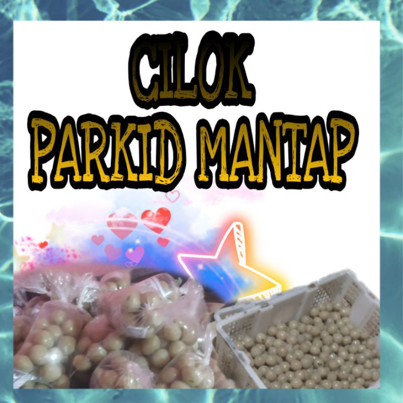 

cilokjandosapi