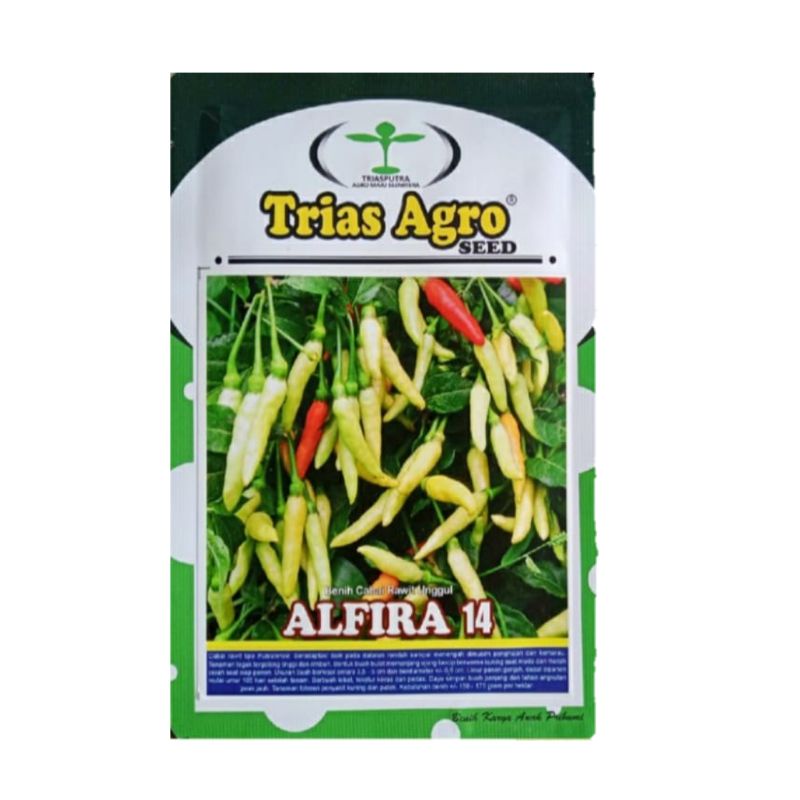 Benih Cabe Rawit Putih Merunduk ALFIRA 14 Isi 10 Gram Benih Cabe Rawit Bibit Cabe Rawit Benih Cabe R