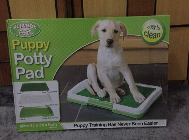 Potty pad traning puppy with grass mat / Toilet anjing