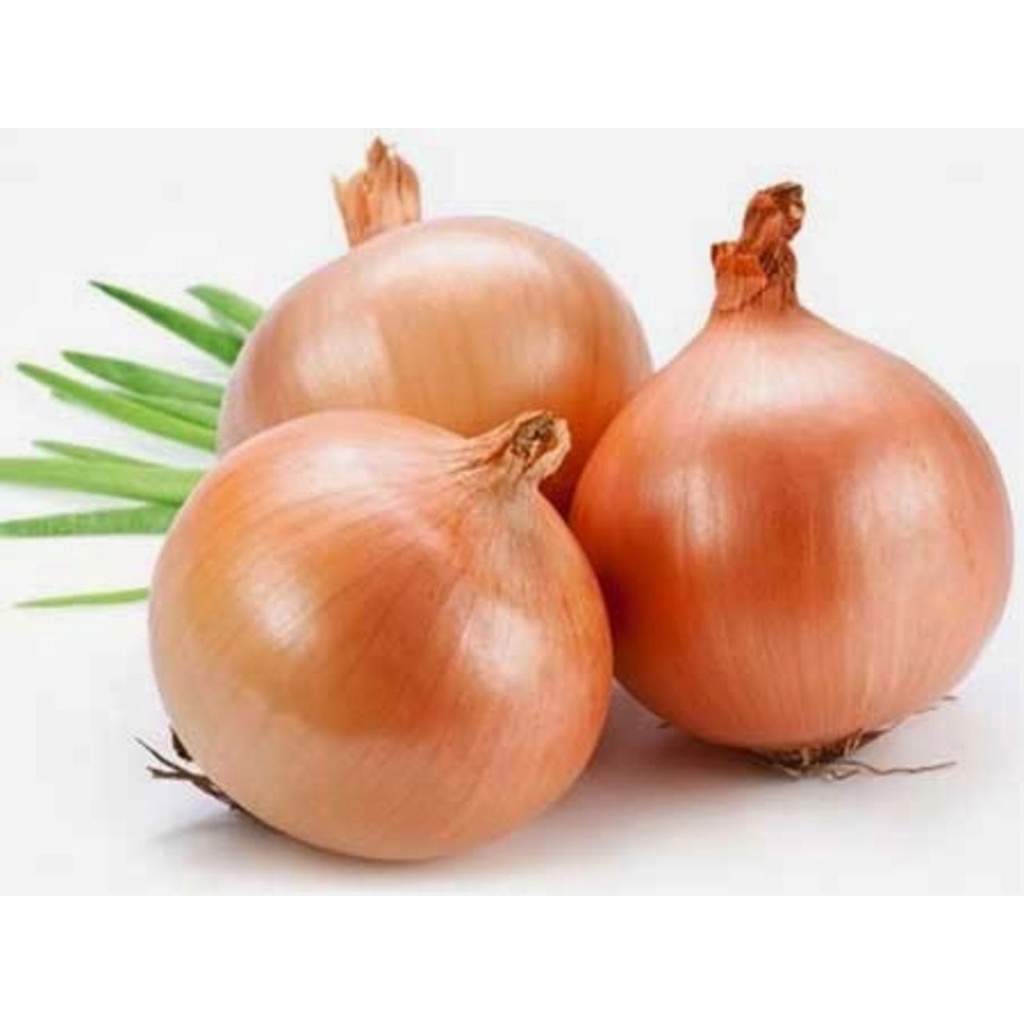 

BAWANG BOMBAY
