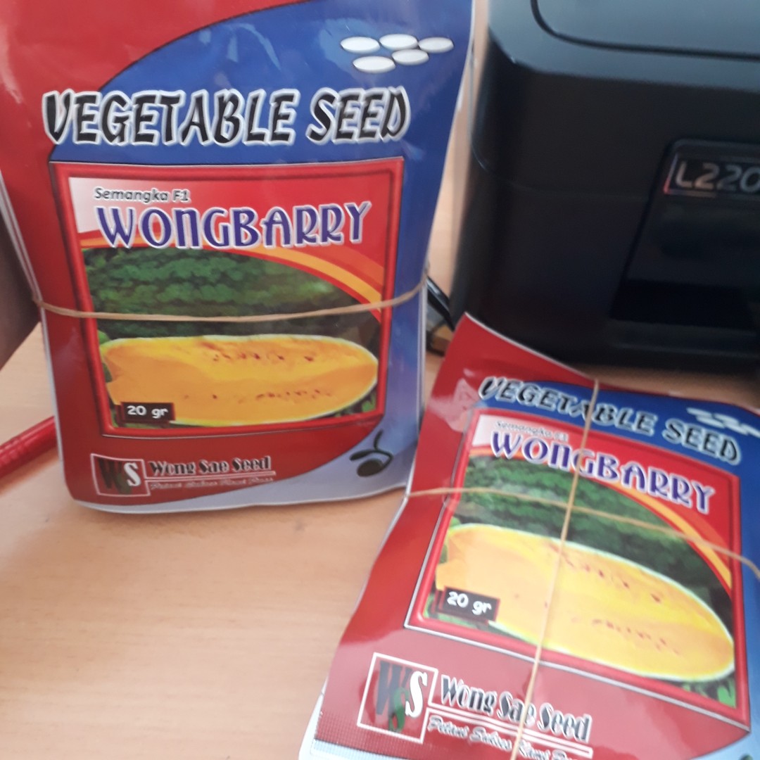 Benih Semangka Kuning Wongbarry @ 20gr