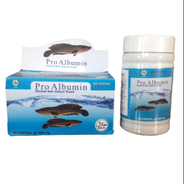 Pro Albumin Ekstrak Ikan Gabus/ Kutuk 50 Kapsul