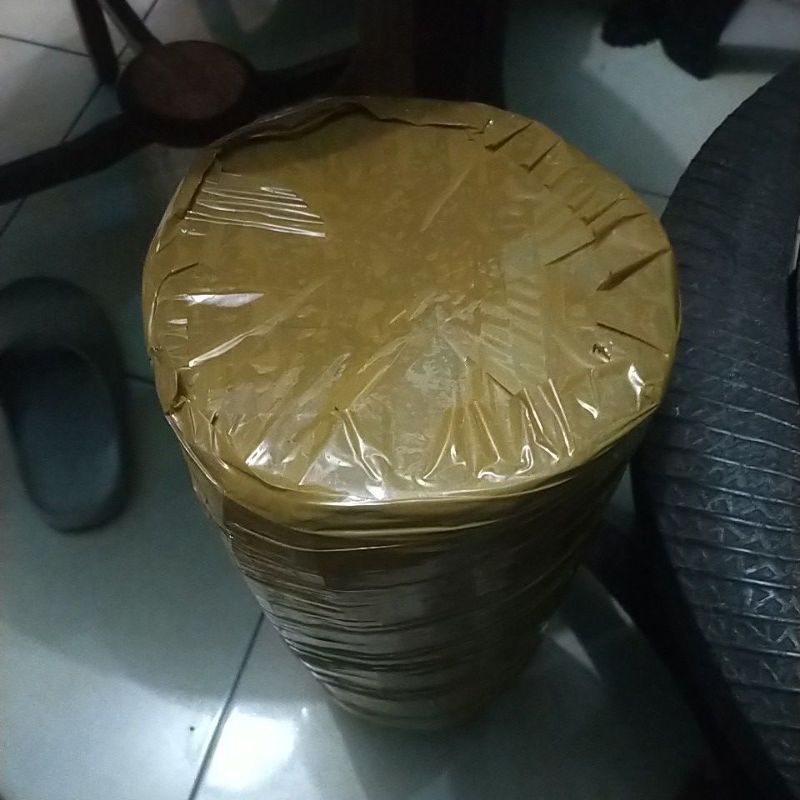 anthurium Jemani Cobra Batik varigata Bj