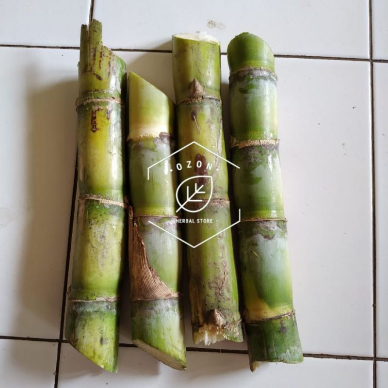 

Tebu Hijau Segar Bersih (sudah dikupas) 500gr