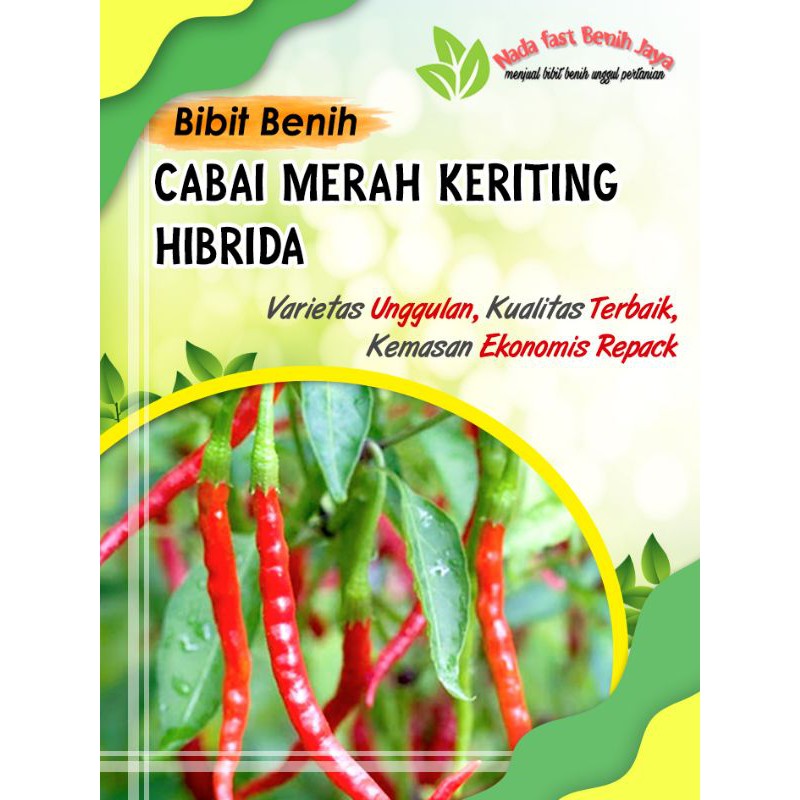 10 biji Benih Cabe merah keriting Lado - bibit cabai keriting super
