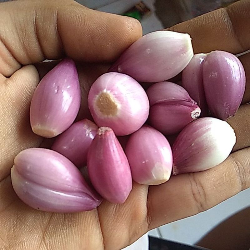 

bawang merah kupas 250 g