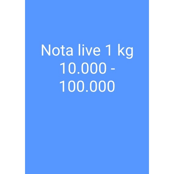 boneka preloved import