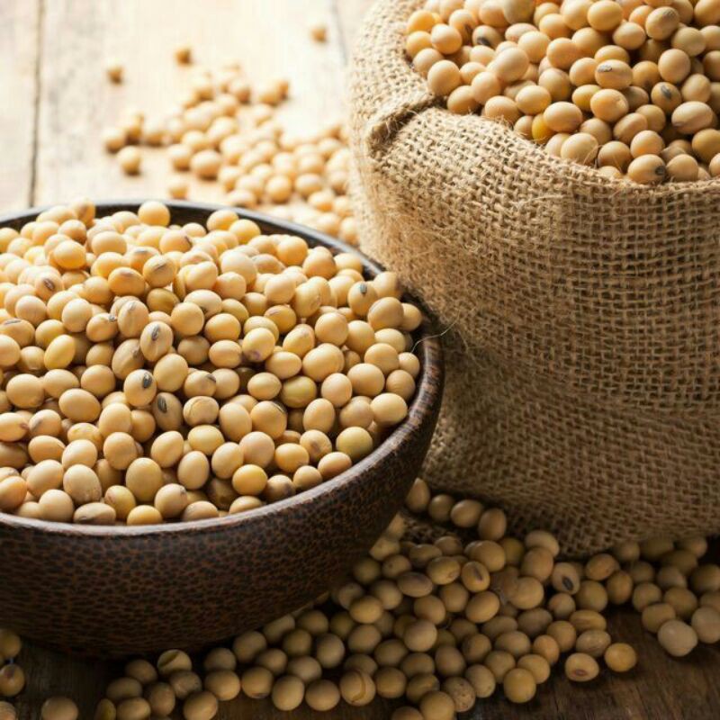 

GROSIR TERMURAH KEDELAI IMPOR AMERIKA KUALITAS SUPER 1kg Kemasan Vacum
