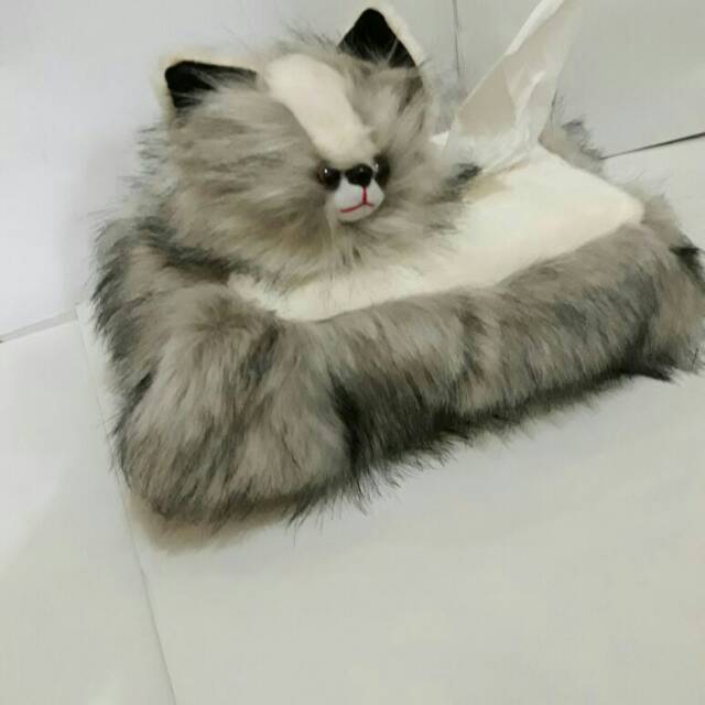Tutup tisu kucing anggora