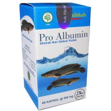 Pro Albumin Kapsul Ekstrak Ikan Gabus / Kutuk Obat Luka, Patah Tulang