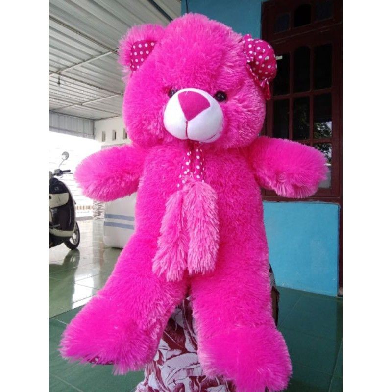 BONEKA BEAR SYAL 55 CM / BONEKA TEDDY BEAR TERMURAH TERLARIS / BONEKA BERUANG LUCU MURAH PREMIUM