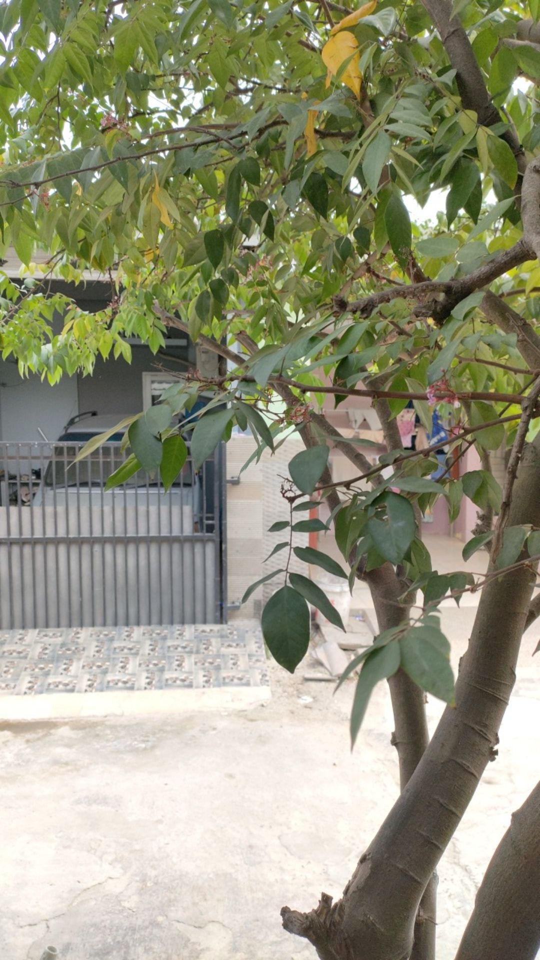 Blus Batik Anak Navy Putih Berkerah Cocok Untuk Sekolah