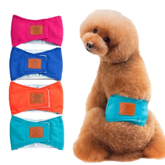 Dog belly belt dog marking belt dog male wrape celana popok anjing jantan dog Shopee Indonesia