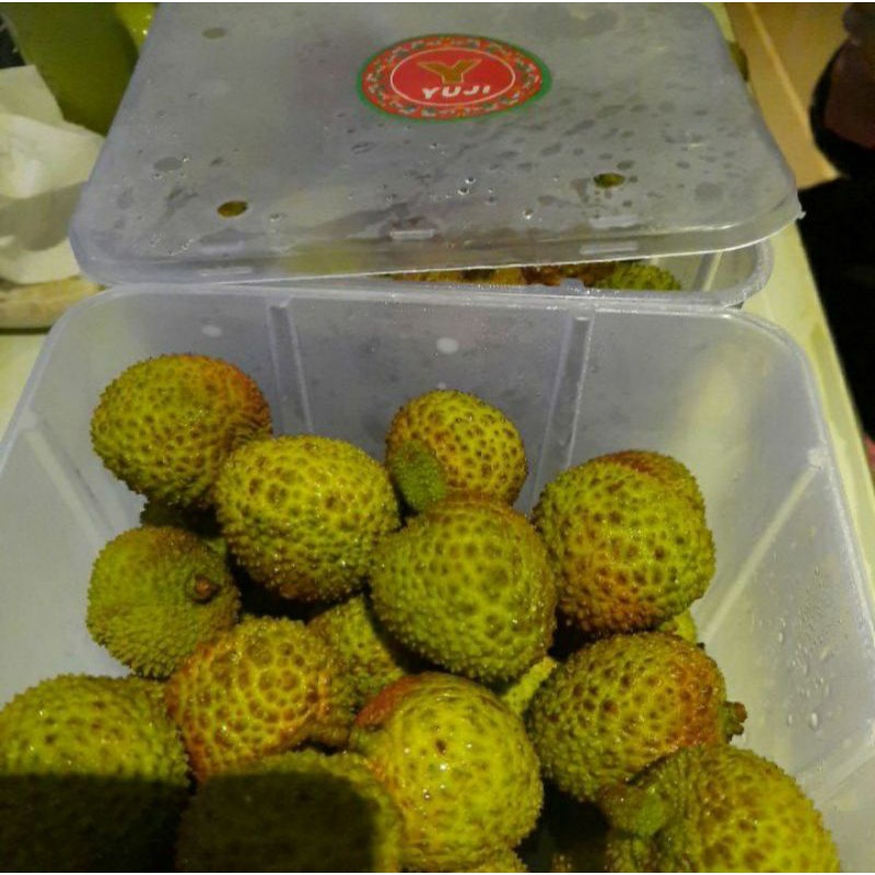 

LYCHEE CHINA YUJI BIJI KECIL DAGING TEBAL MANIS