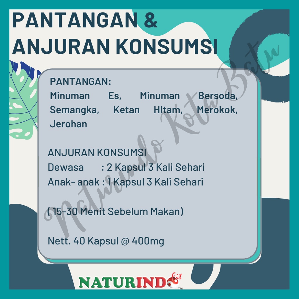 Obat Sinusitis Sinus TBC Batuk Menahun Gurah Paru Paru Radang Sakit Tenggorokan Asma Sesak Nafas Anosmia Herbal BPOM NATURINDO Bron C Fit 40 KAPSUL-4