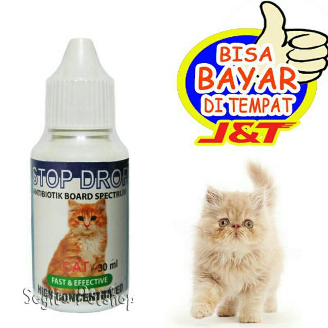 Obat Kucing Demam Diare STOP DROP