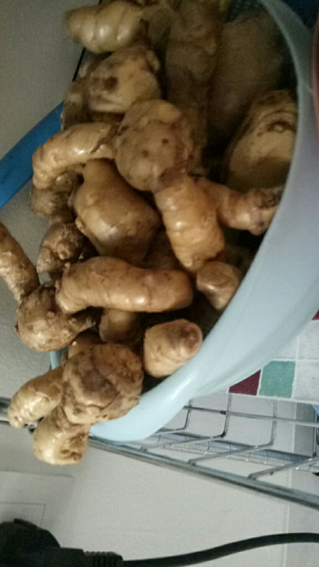 Kunyit Putih/temu Putih Fresh1 Kg