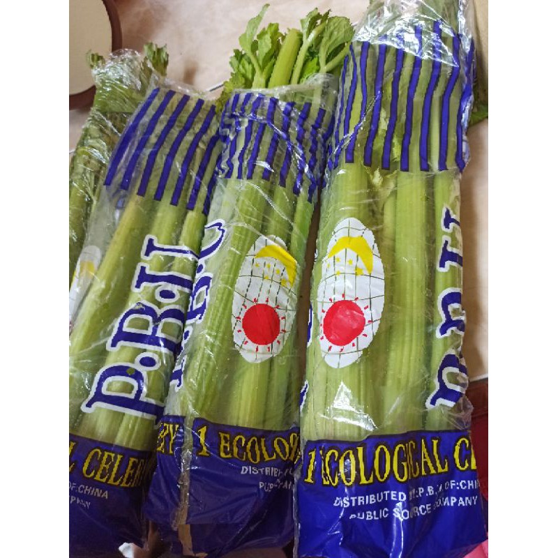 

Seledri Import / Celery Stick Import dari China per kg READY!