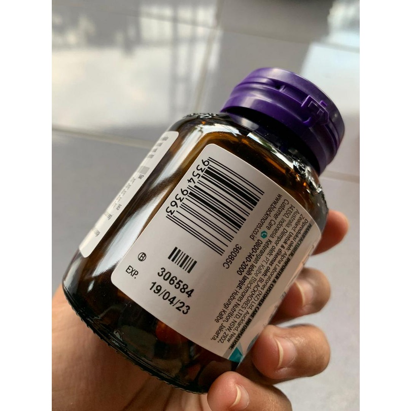 Blackmores Kids Koala Study Buddy 30 Kapsul BPOM Original