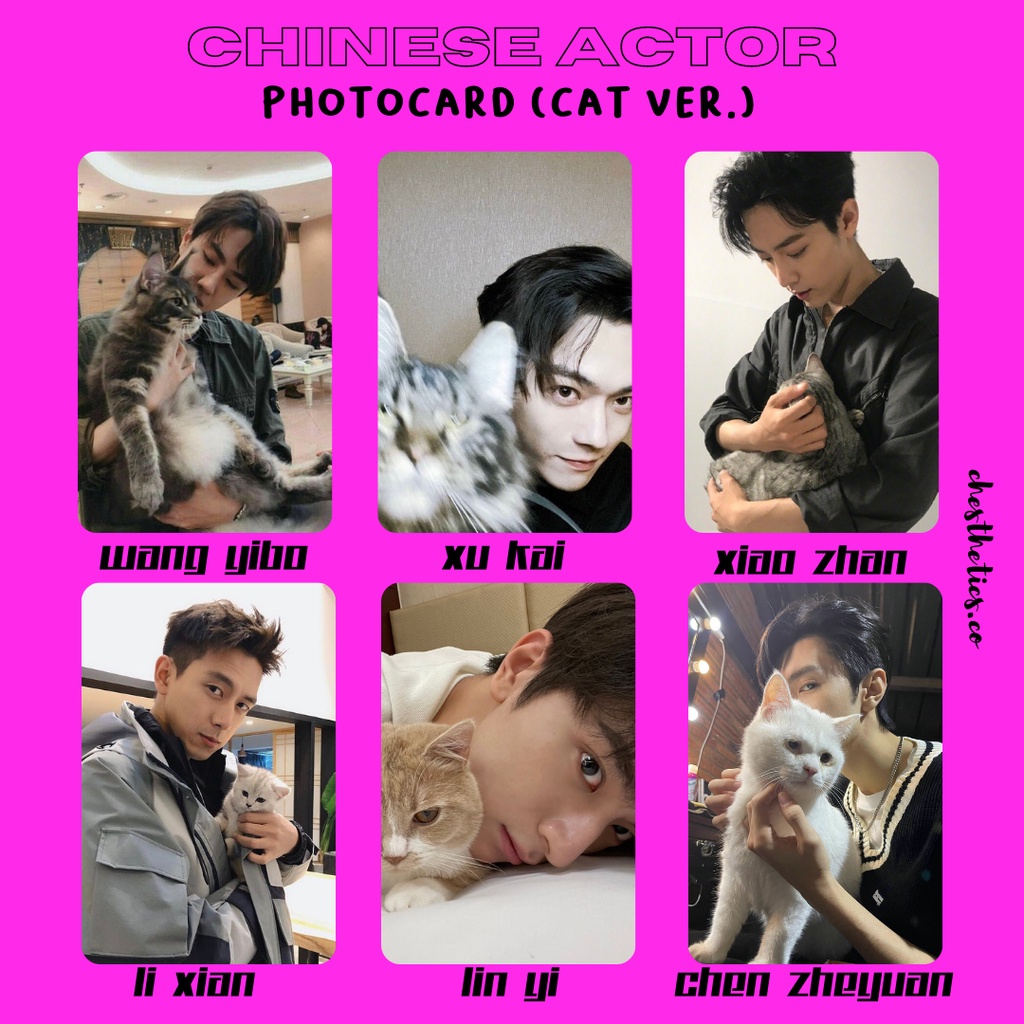 Aktor China Actor Cat Ver. Photocard (Wang Yibo Xu Kai Xiao Zhan Li Xian Lin Yi Chen Zheyuan)