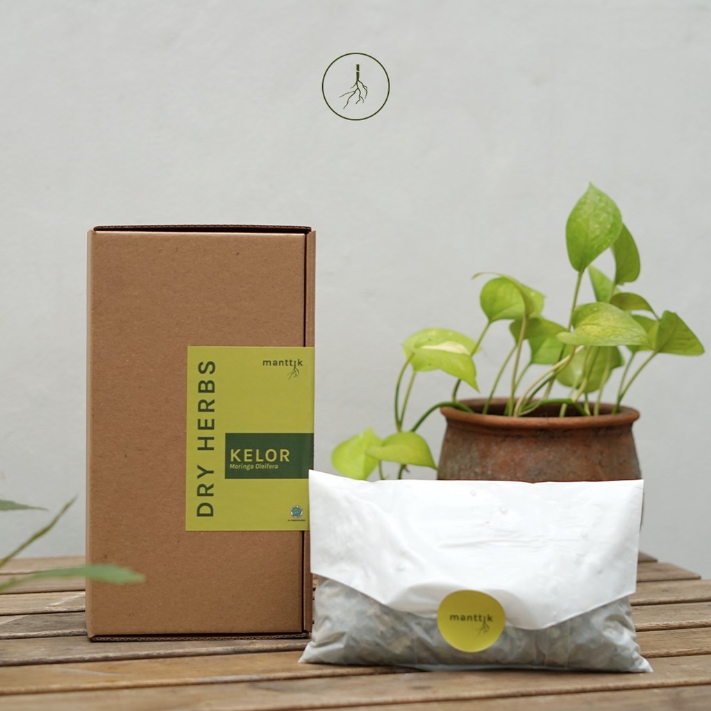 

Refill Kelor Rempah Kering Dry Spices & Herbs manttik
