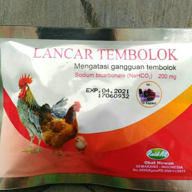 Cara Mengatasi Penyakit Berak Darah Atau Koksidosis Pada Ayam Penyakit Darah Jenis