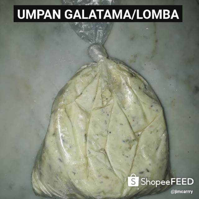 Umpan Galatama / Lomba Ikan Mas