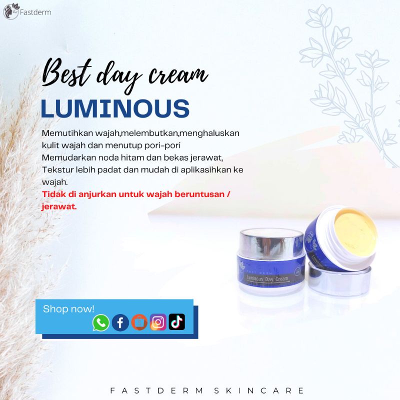 [ECER] FAST DERM CREAM SIANG / DAY CREAM PLATINUM NEW KEMASAN BIRU  / BB GLOW / LUMINOUS DAY CREAM /