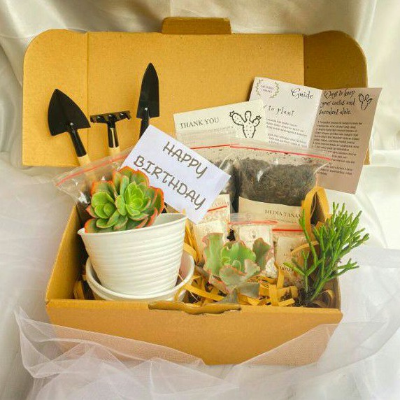 DEIRA BOX SUCCULENT  DIY GIFT BOX PAKET SUKULEN UNTUK 