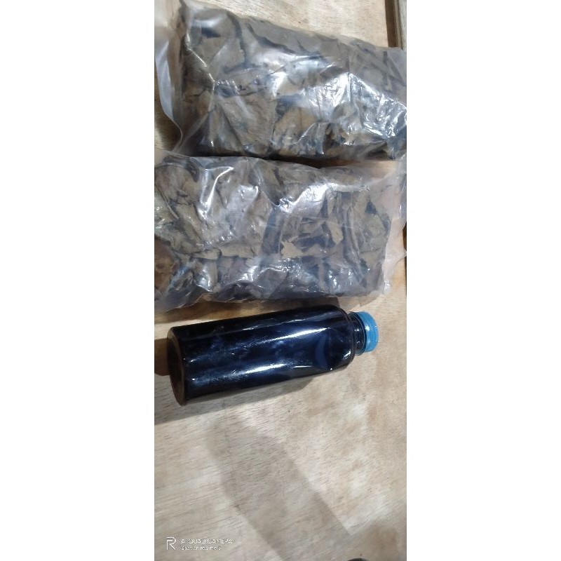 daun Ketapang dan ekstrak Ketapang