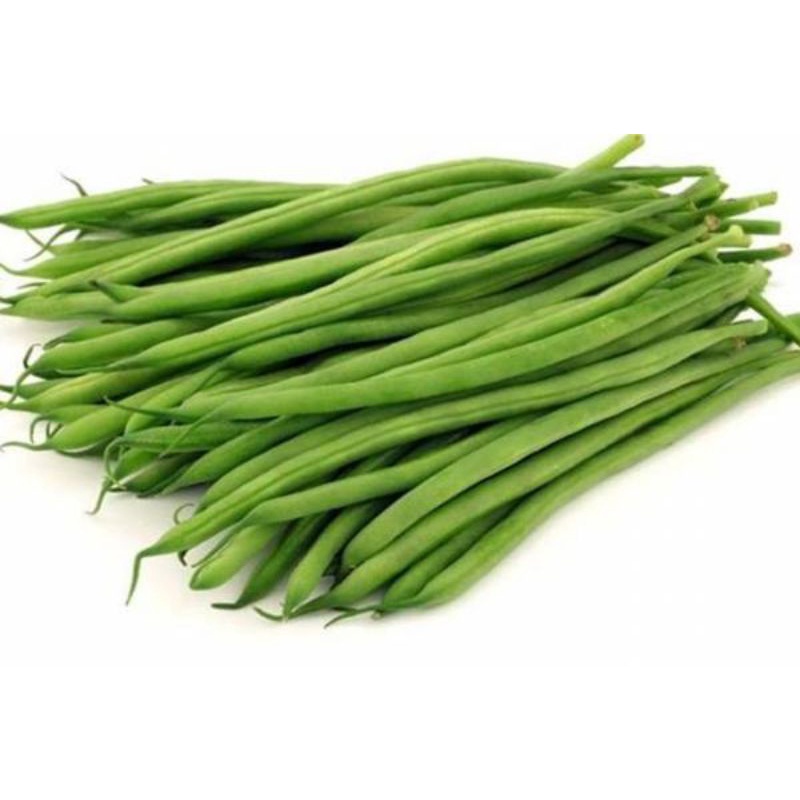 

BUNCIS FRESH SUPER PREMIUM