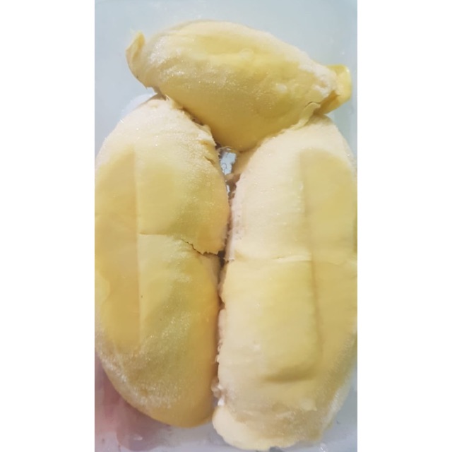 

Durian Palu Duren Monthong Palu Montong Palu