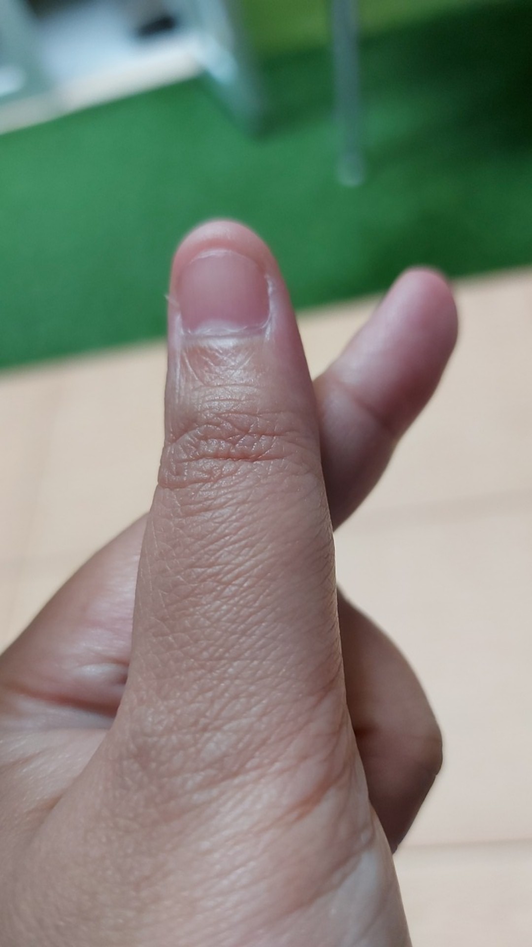 Mug Keramik Lucu Kelinci Dinosaurus Dengan Tutup